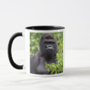 Search for silverback gorillas mugs Lowland