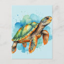 Search for turtle painting postcards Animal