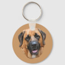 Search for mastiff key rings Cute