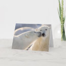Search for manitoba cards Jaynes gallery