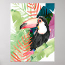 Search for tropical toucan posters Watercolor