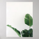 Search for banana tree art Botanical