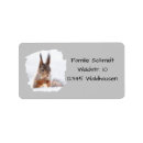 Search for postcard return address labels Letter