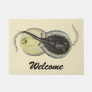 Search for animal doormats Marine life