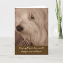 Search for pet sympathy cards Puppy