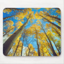 Search for tree fall mousepads Bright