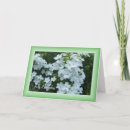 Search for perennials cards Garden