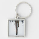 Search for trunk key rings Forest