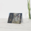 Search for chillin cards Nature