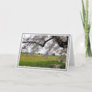 Search for flowering tree cards Trees