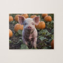 Search for pumpkin puzzles Animal