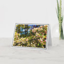 Search for apple tree blossoms cards White