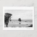 Search for cannons postcards States