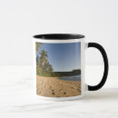 Search for seychelles mugs Tropical