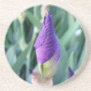 Search for bud coasters Garden
