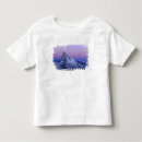 Search for translucent tshirts Matterhorn