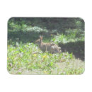Search for flexible cards Bunny