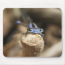 Search for damselfly mousepads Dragonflies