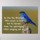 Search for bluebird posters Wildlife