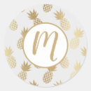 Search for hand drawn fruit stickers Pineapple