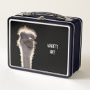 Search for ostrich Bird