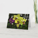 Search for orchid cards Summer