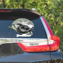 Search for deutsch drahthaar Hunting