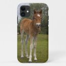 Search for baby horse iphone cases Colt