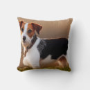 Search for jack russell cushions Puppy