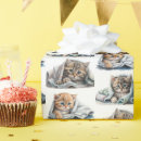 Search for kitten wrapping paper Tabby