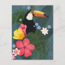 Search for toucans postcards Exotic birds