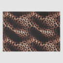 Search for pink leopard tissue paper Black