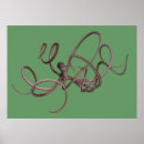 Search for tentacles posters Sealife