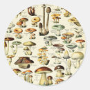 Search for core stickers Earth tones