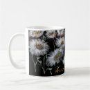Search for field of study White daisy