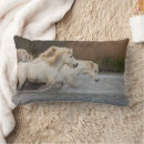 Search for white horse cushions Ranch
