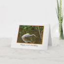 Search for great egret cards Birds