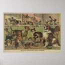 Search for dog breed posters Canine