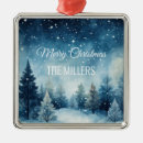 Search for winter scene christmas tree decorations Forest