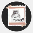 Search for cas stickers Cat