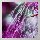 Search for cobweb posters Photography