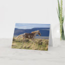 Search for ken cards Horse