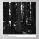 Search for university of california berkeley posters Ansel adams