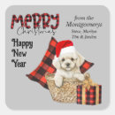 Search for funny buffalo stickers Typography