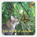 Search for rain forest stickers Jungle