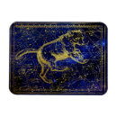 Search for ursa major Astrology