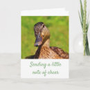 Search for wildlife photography cards Cute