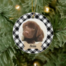 Search for new puppy christmas tree decorations Dogs