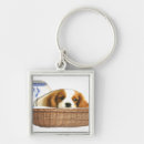 Search for dog lover square key rings Puppies