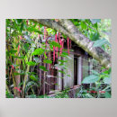 Search for coco posters Hawaii